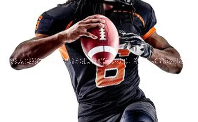 新宝登录app入口手机版雷柏科技