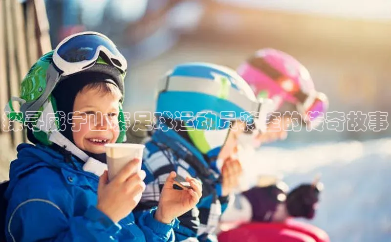 新宝gg中文在线