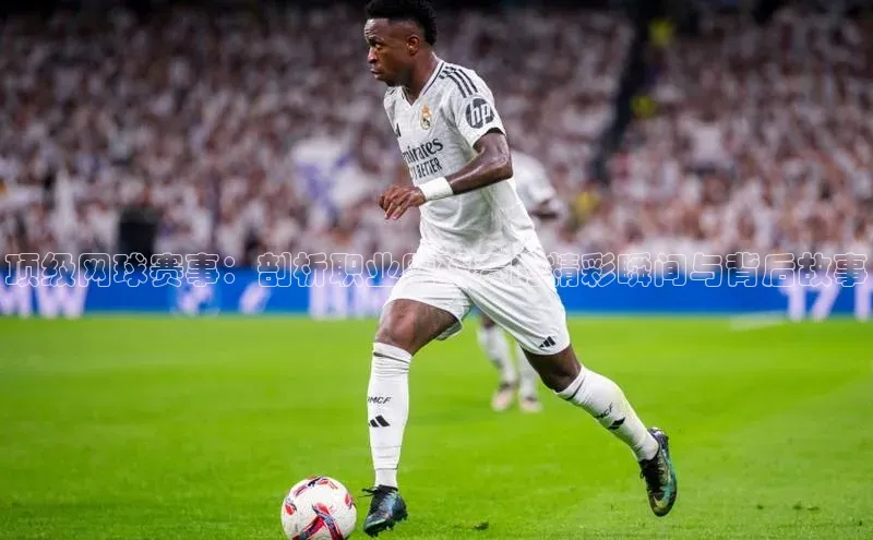 新宝gg创造奇迹登录入口网址百度翻译