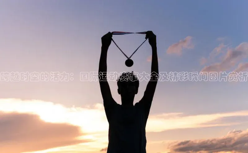 新宝登录app入口手机版如流