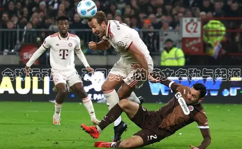 新宝网站登录入口一径科技