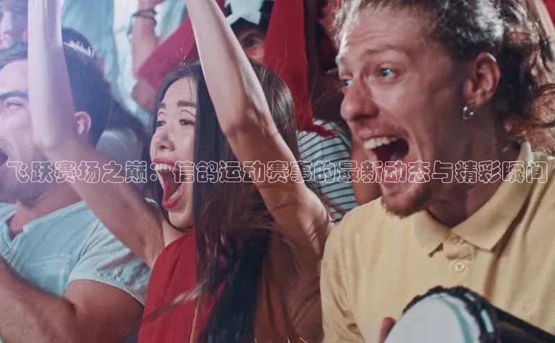 新宝网站登录入口