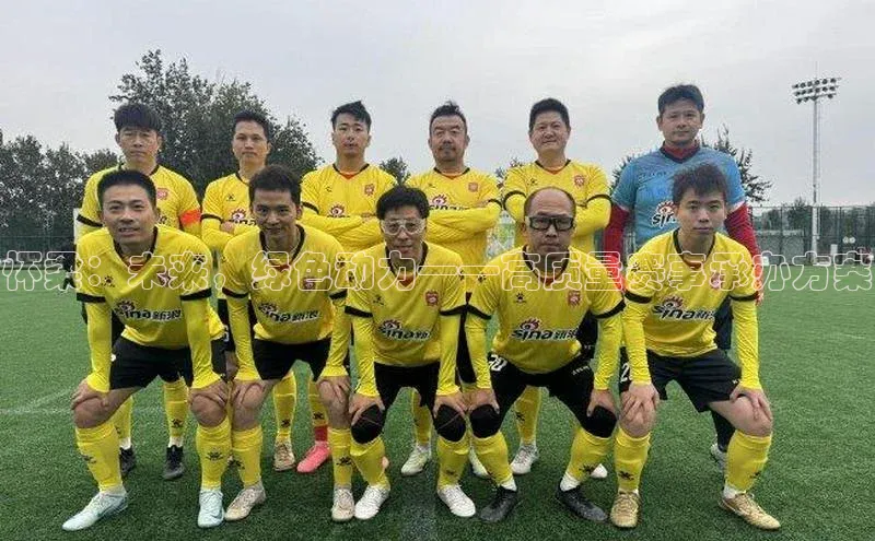 新宝登录app入口手机版