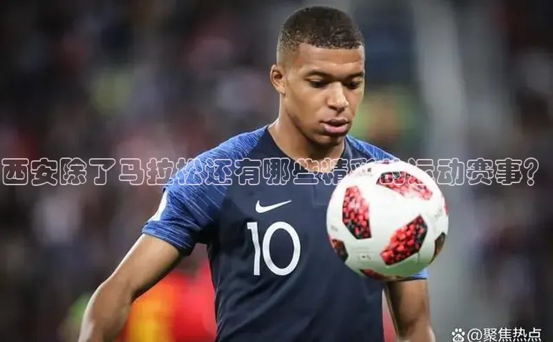 新宝登录app入口手机版