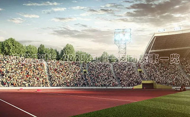 新宝网站登录入口