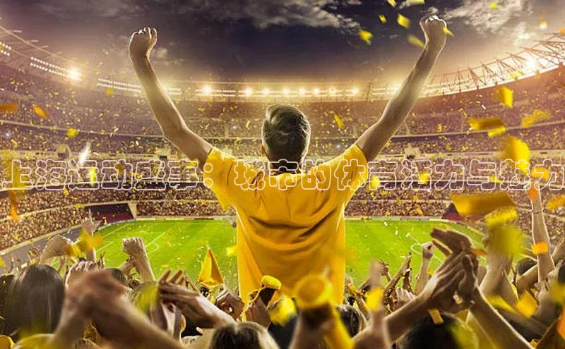 新宝gg官网登录地址