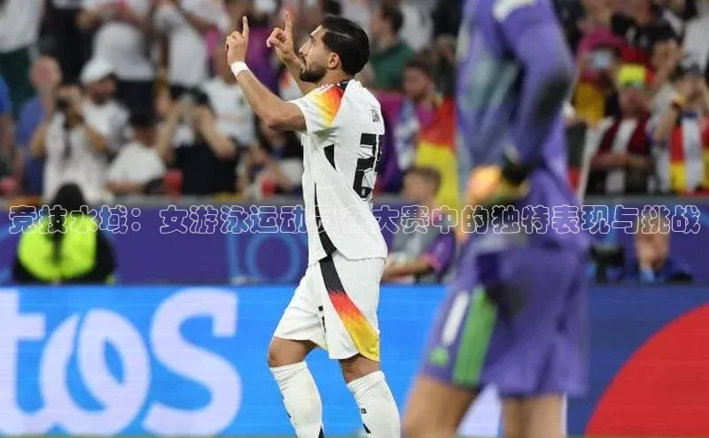 新宝网站登录入口