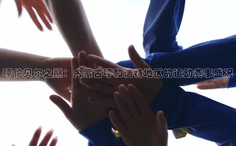 新宝网站登录入口