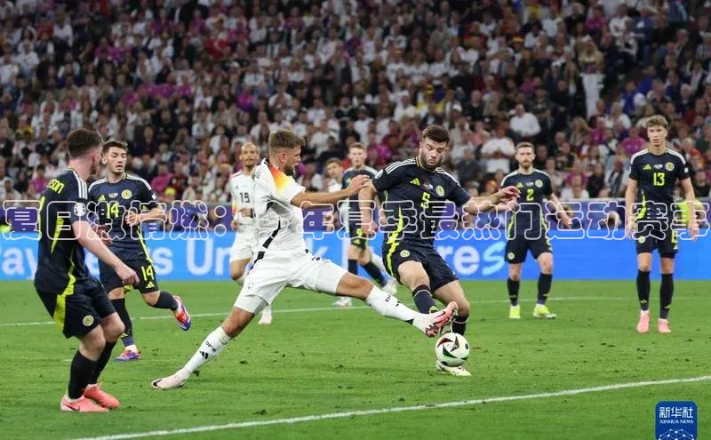 新宝gg一键登录