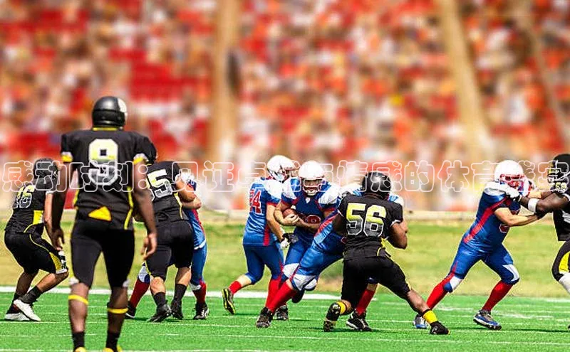 新宝登录app入口手机版