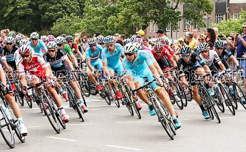 新宝网站登录入口