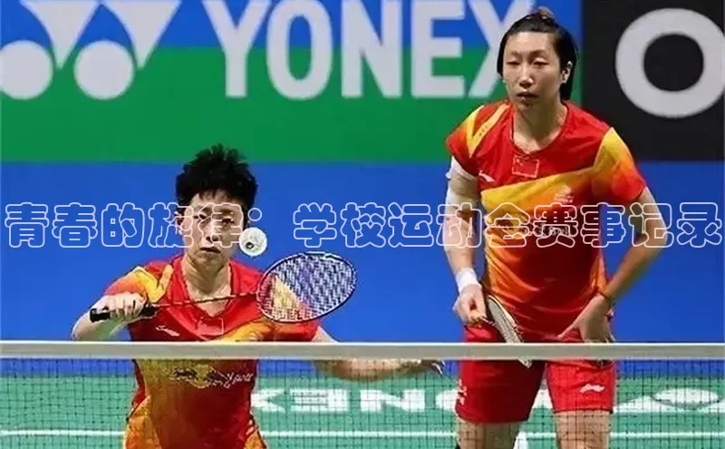 新宝网站登录入口