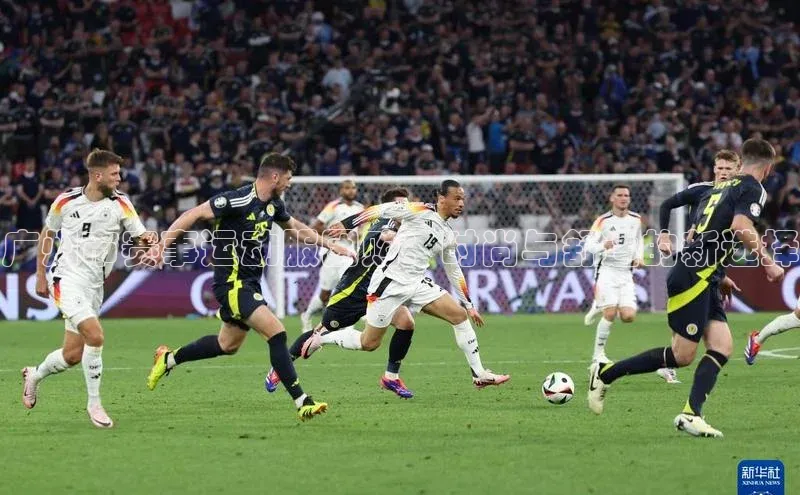 gg网站入口官网