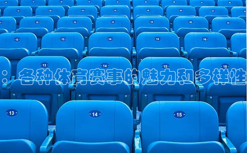 新宝网站登录入口